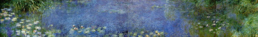 モネ 睡蓮の庭 ジヴェルニー 西洋絵画美術館