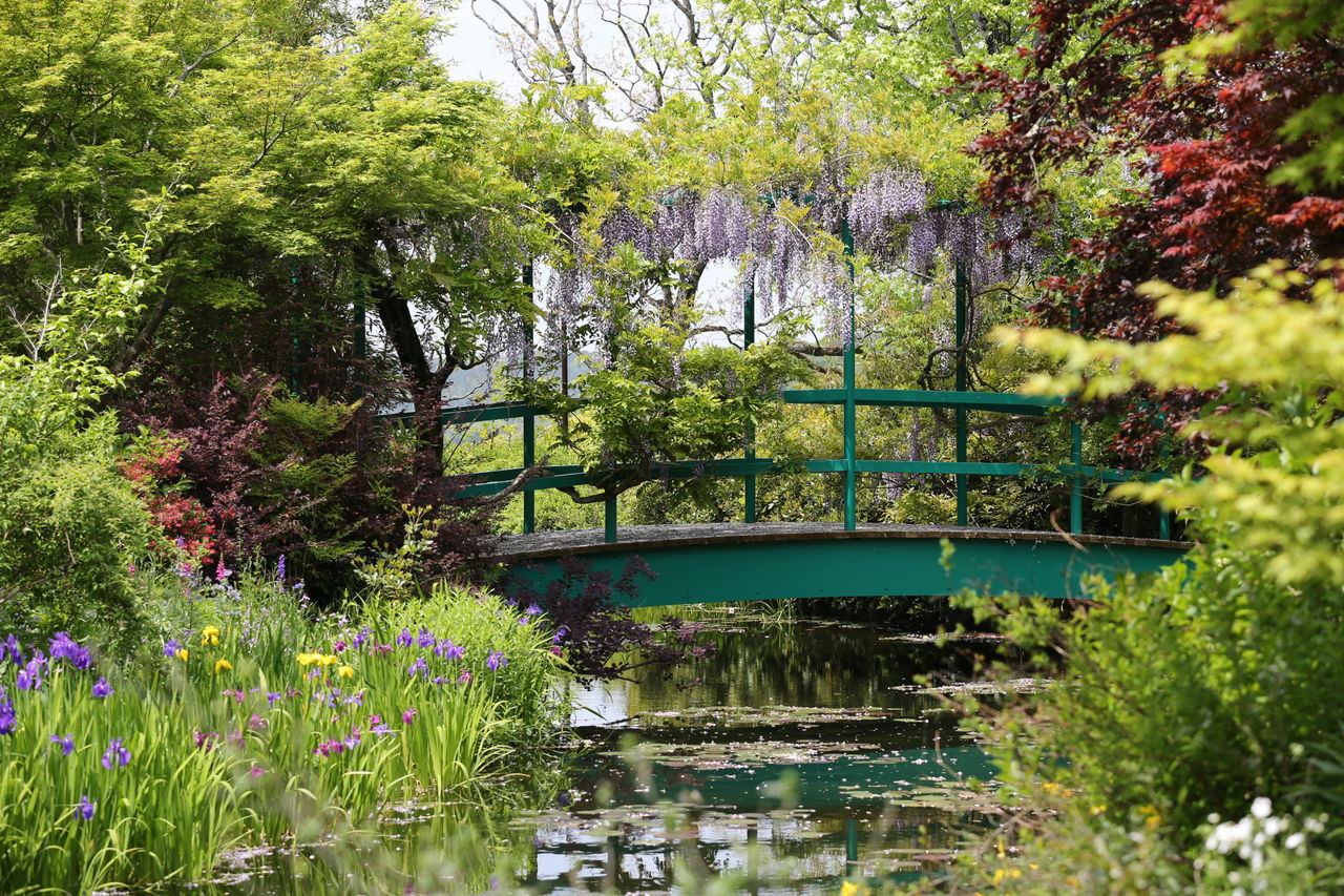 睡蓮の池と日本の橋 モネ